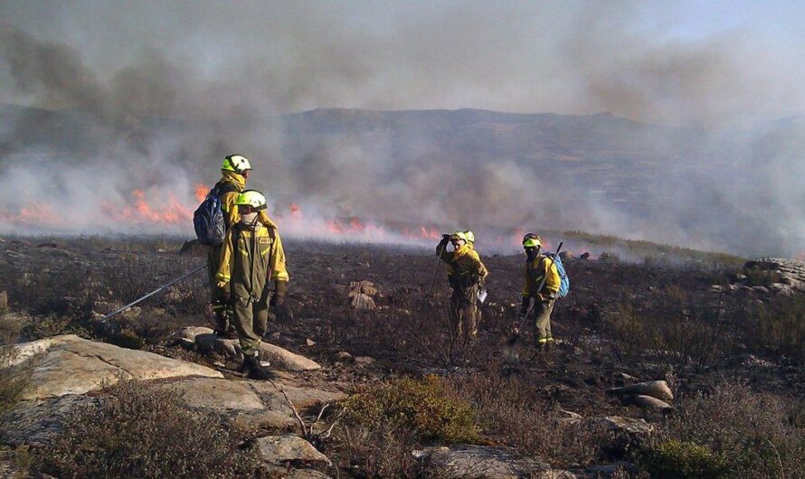 Derogación con carácter retroactivo de la Ley de Montes: Un paso adelante para la protección de la naturaleza en España