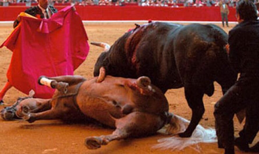 «Es el momento de que España muestre su progreso y civilización: Abolición de las Corridas de Toros».