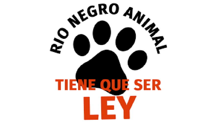 La Ley de Protección Animal de Río Negro: Una Iniciativa para Beneficiar a los Perros y Gatos de la Provincia