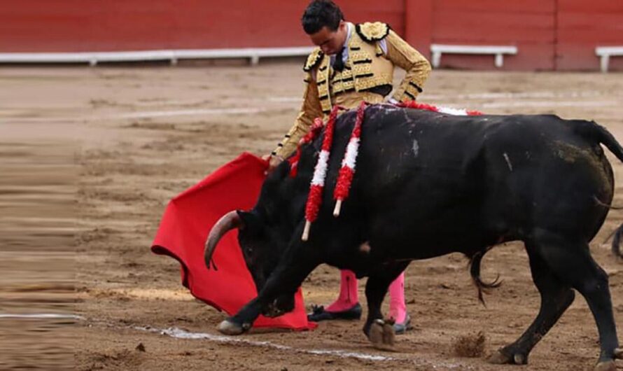 ¡Basta ya! De las crueles torturas a los animales en el Perú