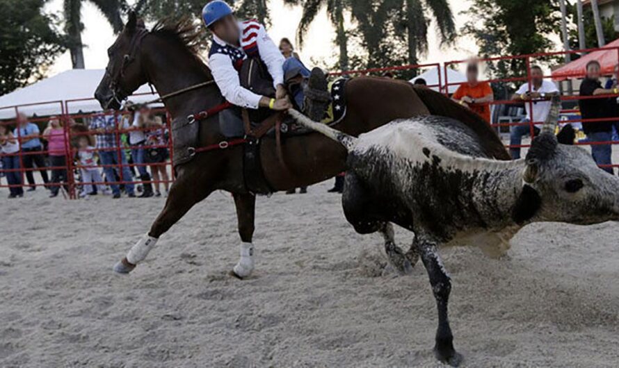 Detengamos la Crueldad Animal: Exigimos Acción por Parte del Fiscal General de Venezuela