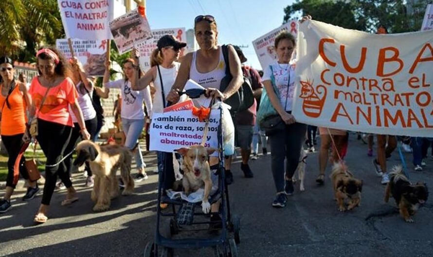 «¡Es hora de acabar con la indiferencia y la violencia hacia los animales en Cuba! Exigimos una Ley de Protección para los Animales.