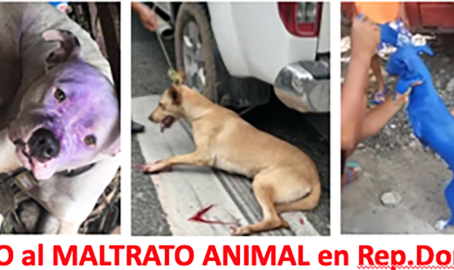 ¡Exijamos que se cumpla la Ley 248-12 para que los maltratos a los animales reciban su debido castigo!