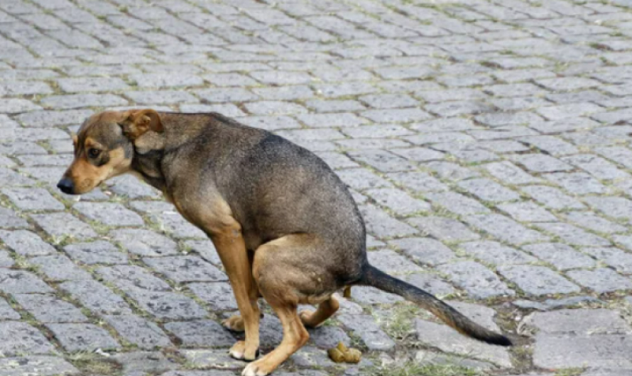 La Desesperación de los Vecinos de Monachil: Un Llamado a la Acción para Preservar el Barrio de la Vega