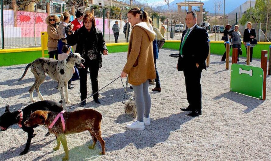 Los vecinos de Fuencarral, Tres Olivos y Montecarmelo luchan por un recinto canino: ¡Firma y comparte la petición!