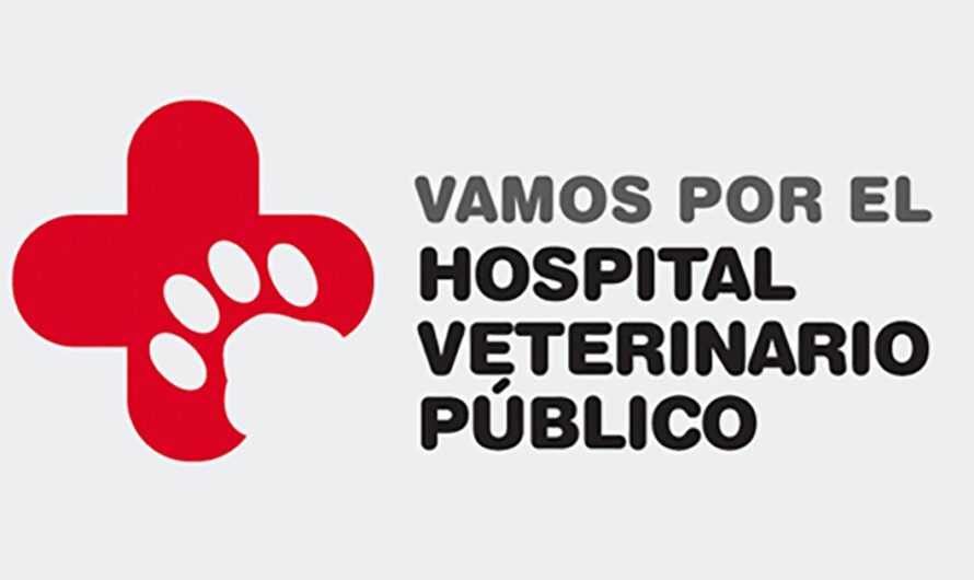 Una petición por los animales: Los ciudadanos argentinos instan al gobierno a que implemente hospitales veterinarios gratuitos para que los animales reciban el tratamiento y el cuidado que merecen