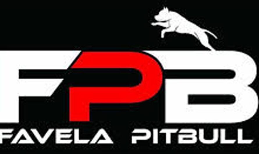 Brasil Revoca Licencia de Favela Pitbull Company por Maltrato Animal