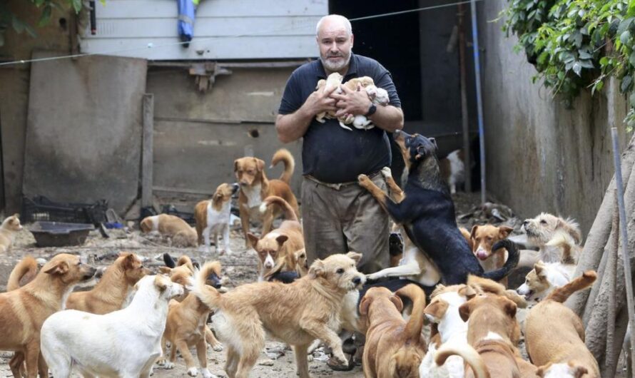 El héroe de los animales: la historia de Fernando Fornes y los perros rescatados en Lugo