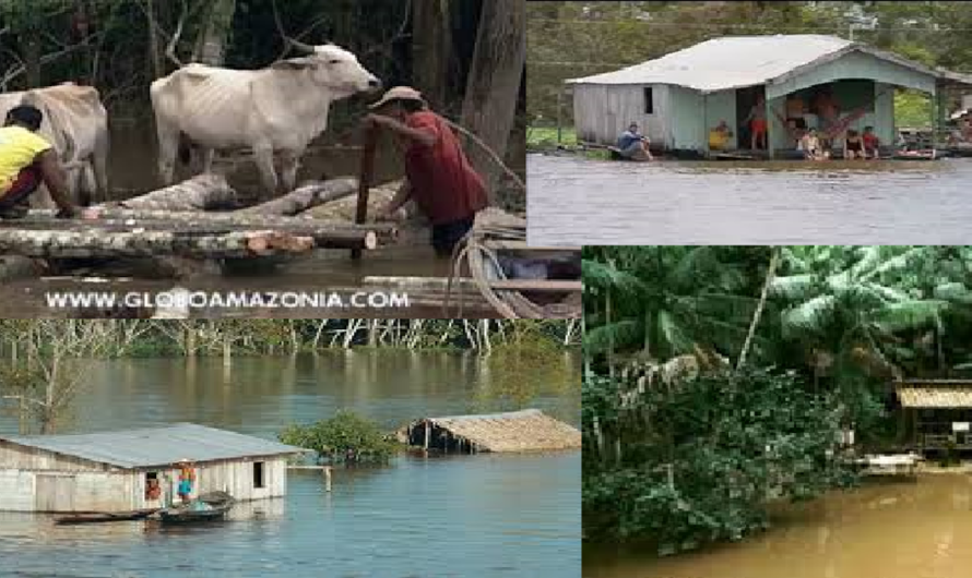 Firma y Comparte para Ayudar al Pueblo Ribereño de la Amazonia a Vivir Mejor