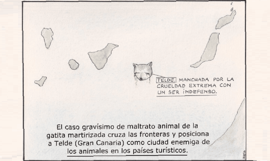 Garantizando la protección de los animales: La ley de ordenanza que busca castigar a los maltratadores