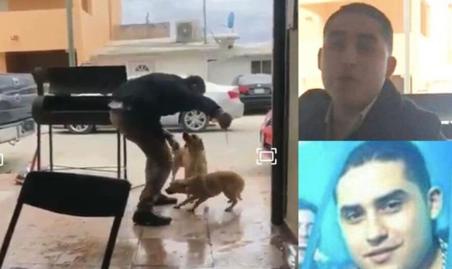 Detención inmediata de Gerardo Herrera: que reciba el castigo por atacar a un indefenso cachorro