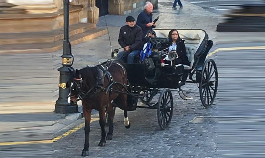 Exigiendo la Prohibición de los Carros para Mejorar la Calidad de Vida de los Caballos Usados como Medio de Transporte Turístico en Palma de Mallorca y en Toda España