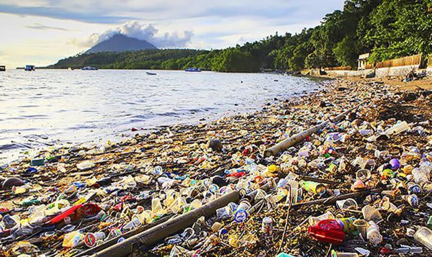 «Francia toma las riendas de la lucha contra los plásticos en los mares: un paso importante para salvar el medio ambiente».