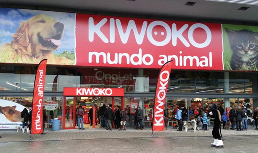 Kiwoko se compromete a mejorar la accesibilidad para todos sus usuarios: ¡exigir un ascensor!
