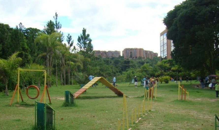 La Espera Termina: España Anuncia la Construcción de un Parque Canino Vallado para Proteger a los Animales