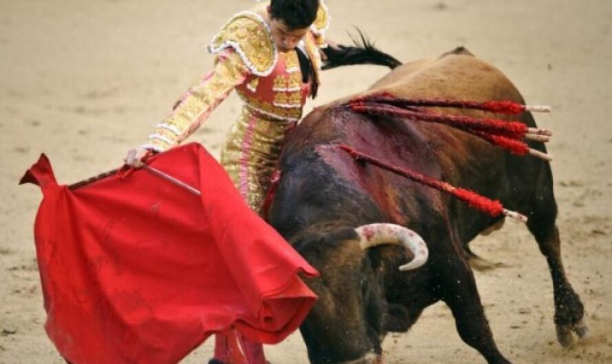 La lucha contra la crueldad animal: ¿es hora de prohibir las corridas de toros en Portugal?