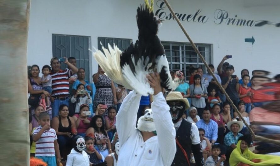 ¡No toleraremos más la crueldad de la despescuezada en Paso Blanco!