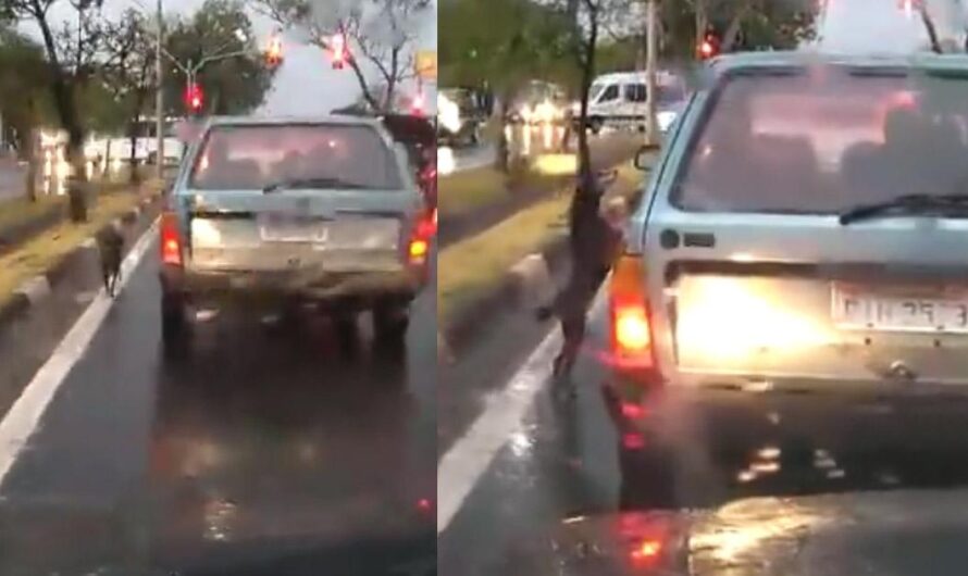 Un acto cruel: Un video impactante muestra el corazón destrozado de un perro abandonado bajo la lluvia