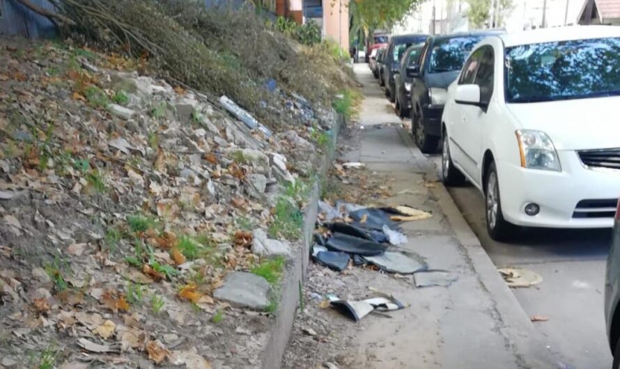 Un llamado a la acción: Los vecinos de la Estación Chilavert piden un mayor control y mejoras para su seguridad y salubridad