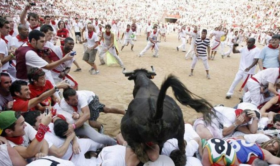 Acabar con el Festival de San Fermín