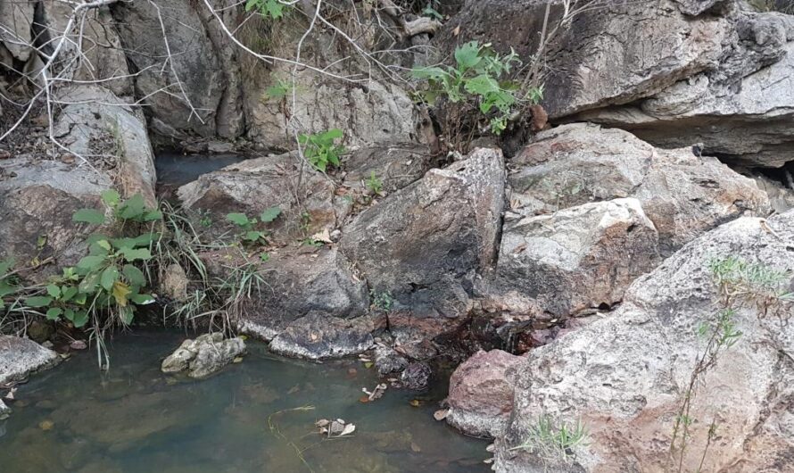 ¡Detengan la destrucción del Río de Monticello! Exigimos que el Gobierno Actúe para Investigar la Contaminación y Proteger la Naturaleza.