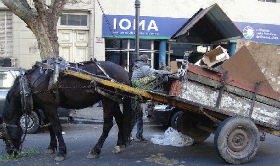 «Juntos por un Florencio Varela sin tortura animal: La municipalidad hace un llamado a todos los habitantes para que cumplan con la ordenanza y protejan a los animales».