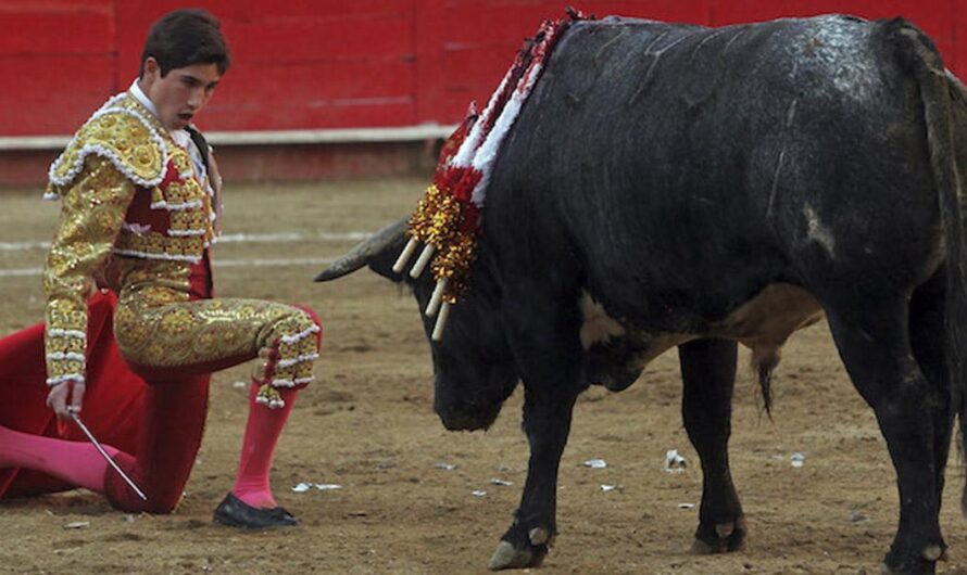 Apagando la Promoción del Maltrato Animal: Firma la Petición para Eliminar el Programa de TV Azteca