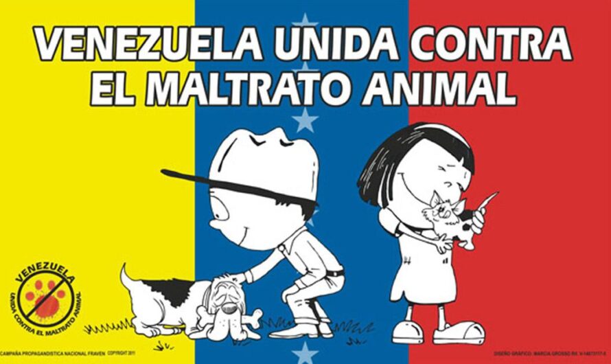 «Exigiendo verdaderas penas para los maltratadores de animales en Venezuela».
