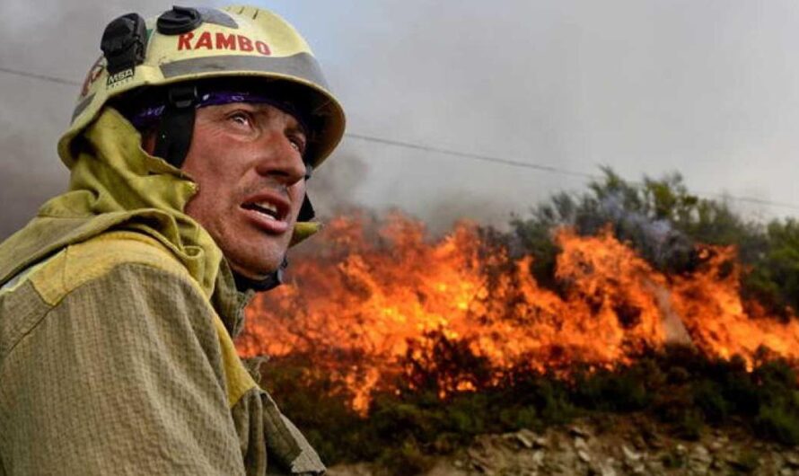 La necesidad de un cuerpo permanente de bomberos y brigadistas forestales en España: una petición de los ciudadanos para prevenir futuros incendios