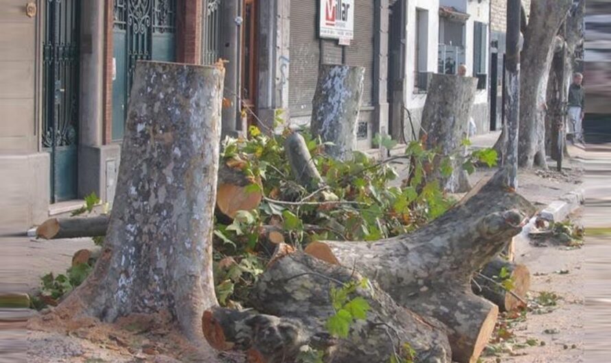 Unamos nuestras voces para preservar el equilibrio natural en la Ciudad de Buenos Aires