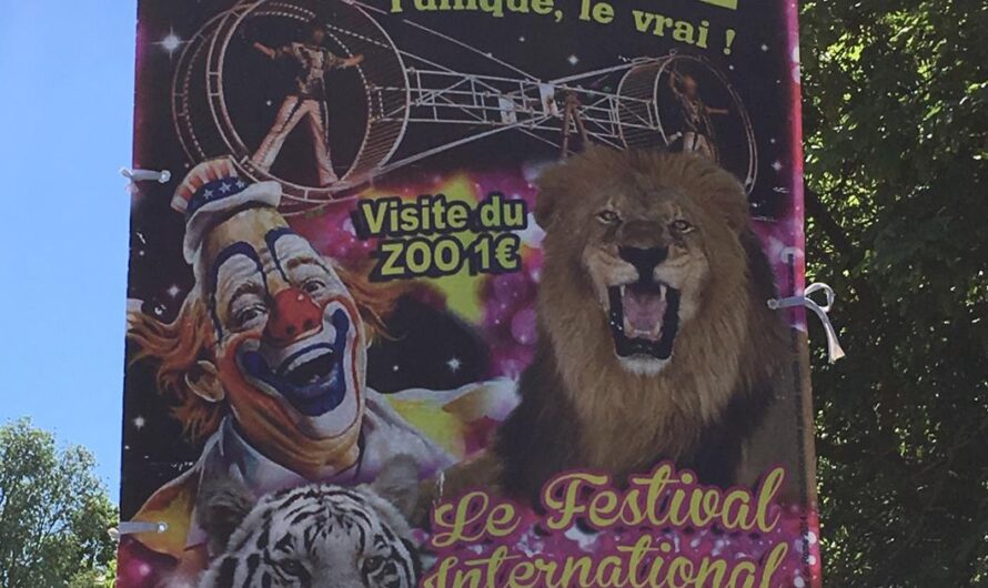 ¡Basta ya de maltrato animal! Ejercemos nuestro derecho y exigimos que el Alcalde de Francia Prohíba el uso de Animales en los circos