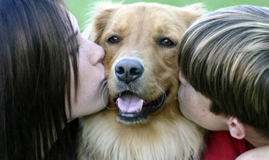 Chile: Educación para la Tenencia Responsable de Mascotas, en la Asignatura de Formación Ciudadana