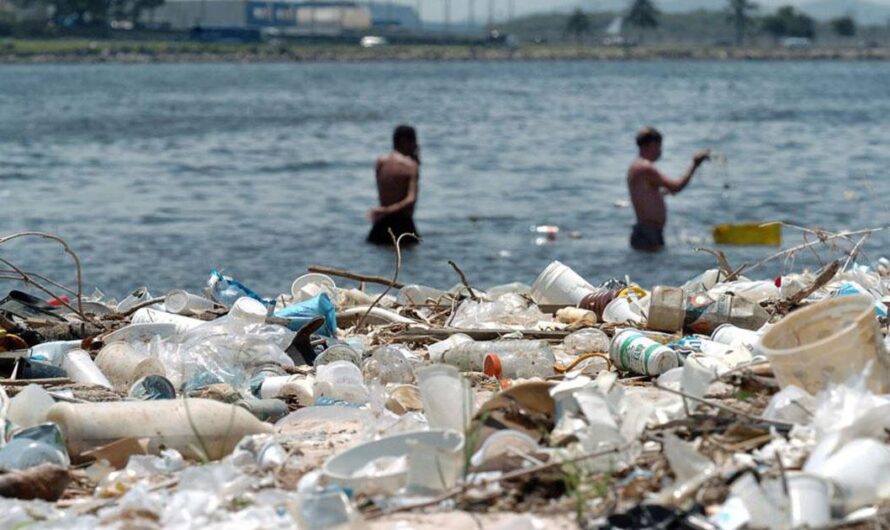«Uniéndonos para salvar la Bahía de Guanabara: La importancia de preservar nuestro medioambiente».