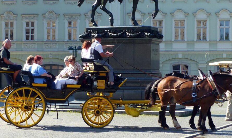 Unirse para Lograr un Turismo Más Seguro y Sostenible: La Campaña para Erradicar el Maltrato Animal en los Caballos Usados para el Turismo en Italia