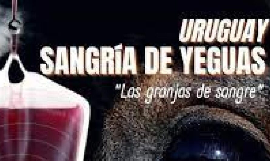 «Detener la crueldad: Prohibición del sangrado de yeguas en Argentina».