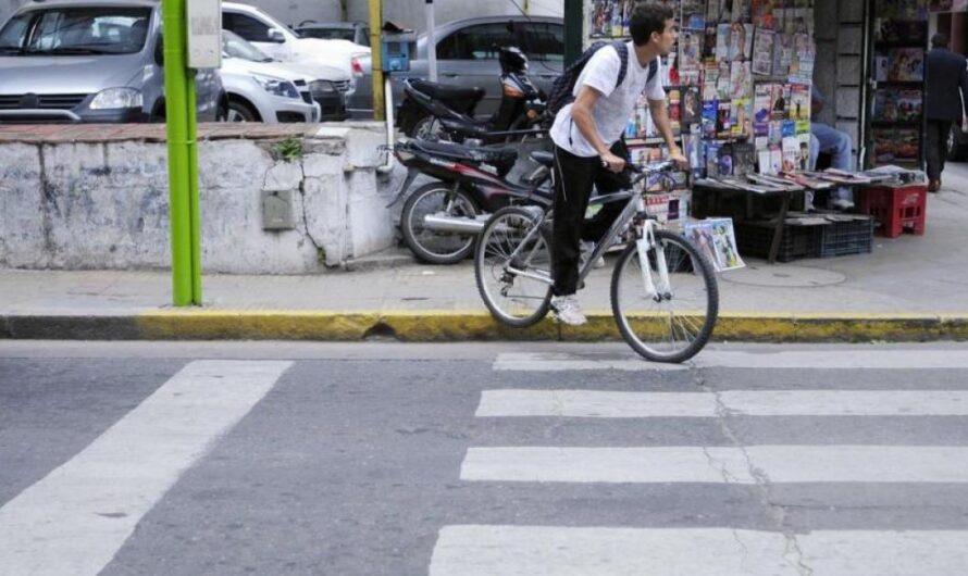 Firma para exigir una Ley de Tráfico para los ciclistas: ¡La seguridad vial depende de todos!