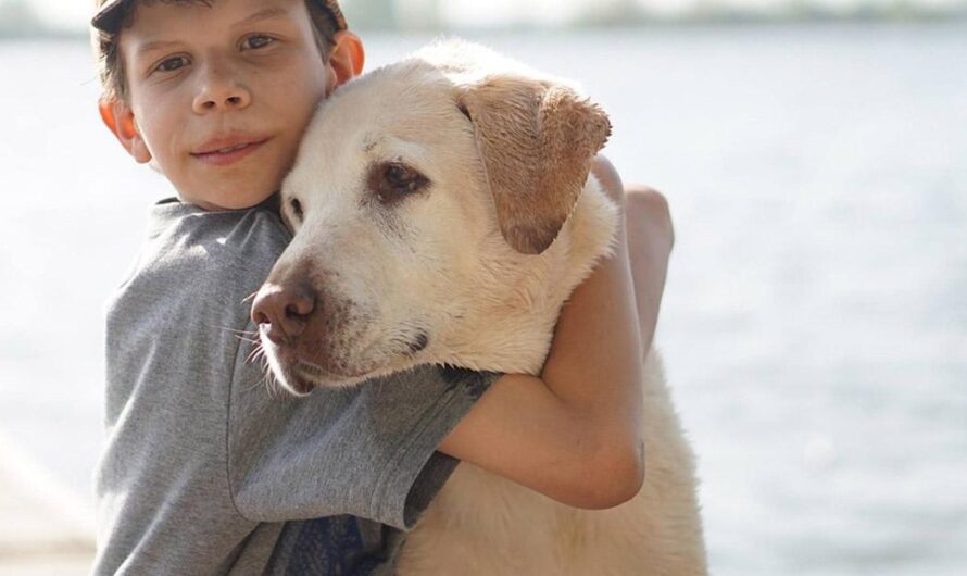 Protegiendo a los Animales de Maltrato y Abandono: Una Iniciativa por el Control de las Mascotas en Argentina