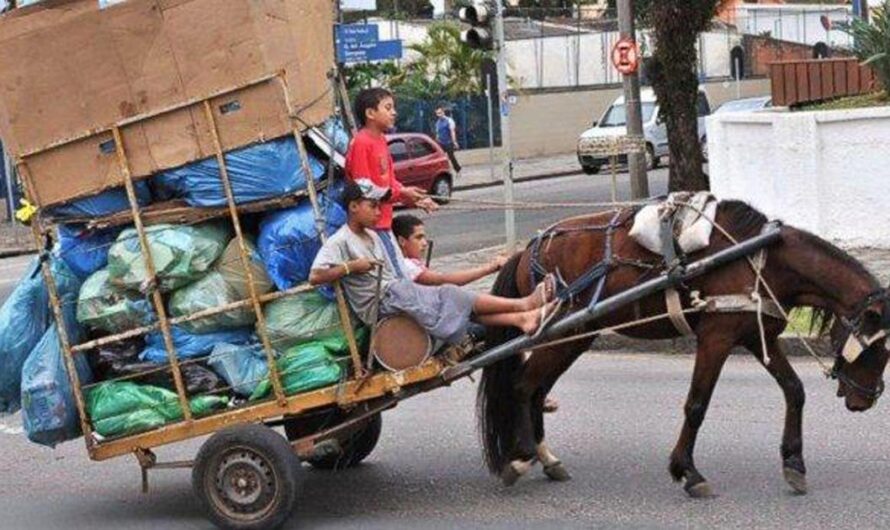 Unámonos para exigir el fin de la tracción a sangre y el respeto a los derechos de los caballos