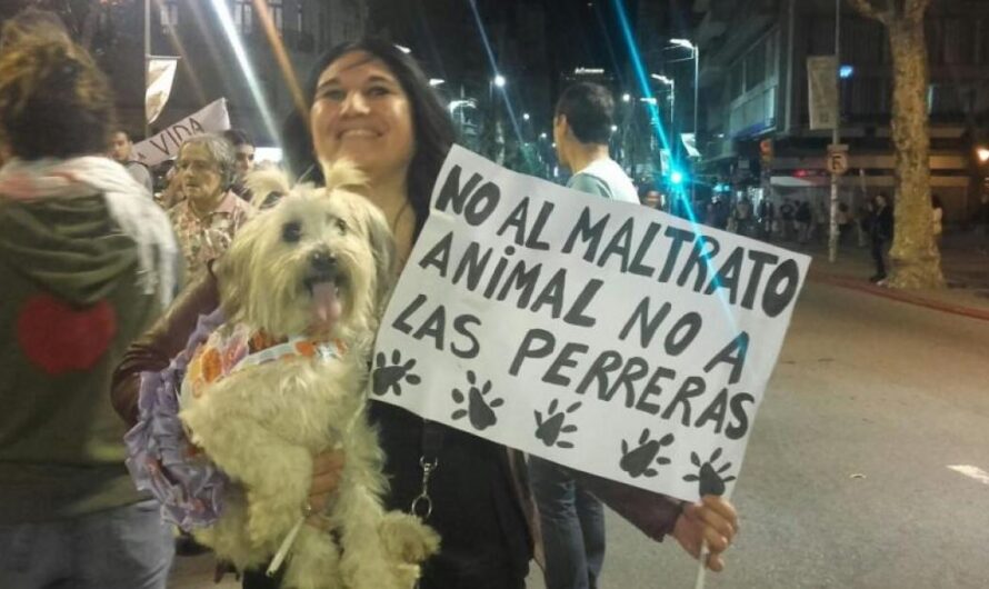 ¡Únete a la Iniciativa: «No a las Perreras»: Un Llamado de los Ciudadanos de Uruguay a Proteger a los Animales!