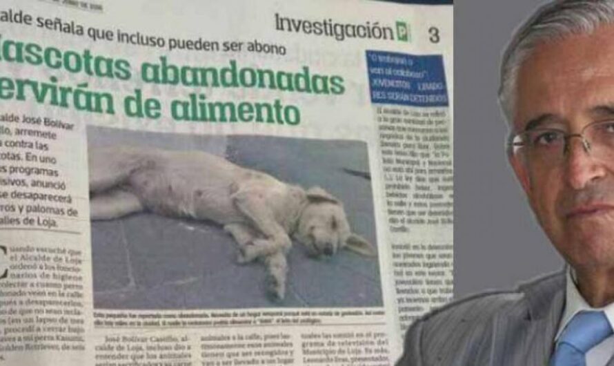 Detengan la Matanza de Perritos Callejeros en Ecuador: ¡Únete a la Campaña para Exigir una Investigación!