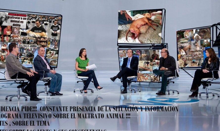 Exigiendo Justicia: Un Programa de Televisión para Poner Fin al Maltrato Animal en España