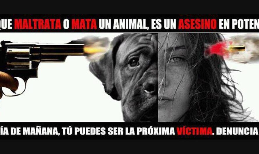 Exigimos Justicia para los Animales: Castigar a los Asesinos de Perros