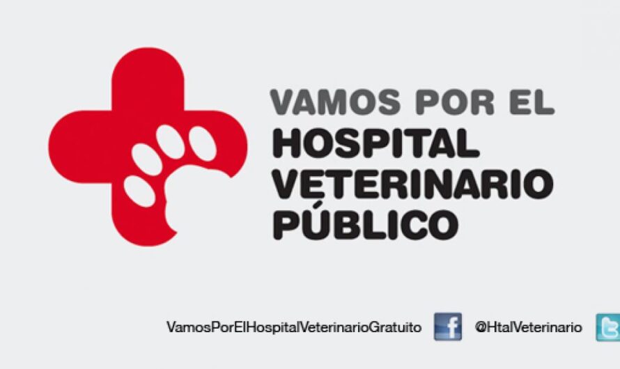 Garantizar los derechos de los animales: la necesidad de hospitales veterinarios públicos en España