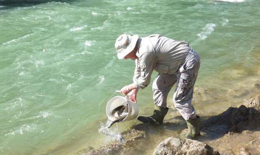 La necesidad de preservar el medio ambiente sin perjudicar a los pescadores: una campaña emergente en España