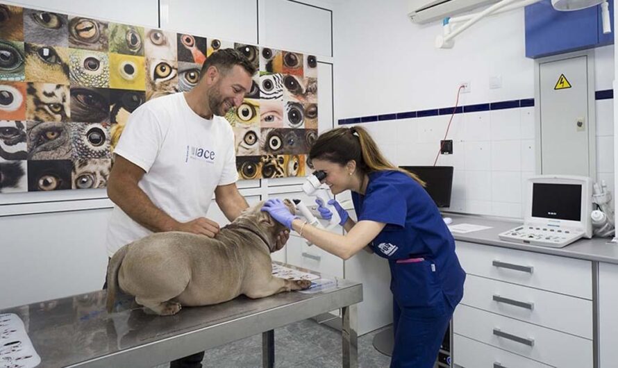 «Los habitantes de Itabirito unidos por los animales: una petición para el alcalde Alexander Silva Salvador de Oliveira».