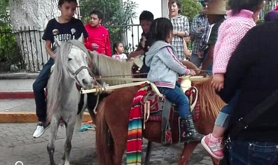 Rescatemos a los Caballos de Villa del Carbón: Una Llamada a la Acción para Erradicar la Crueldad