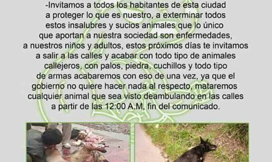 «Uniéndonos por el Bienestar Animal: Detengamos el Maltrato Animal en las Redes Sociales».