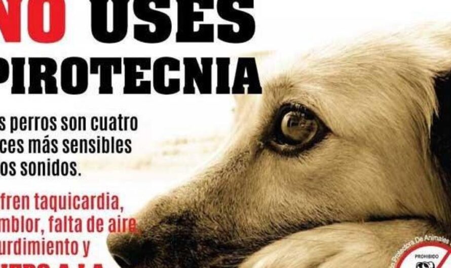 Alto a la pólvora, asusta a los animales