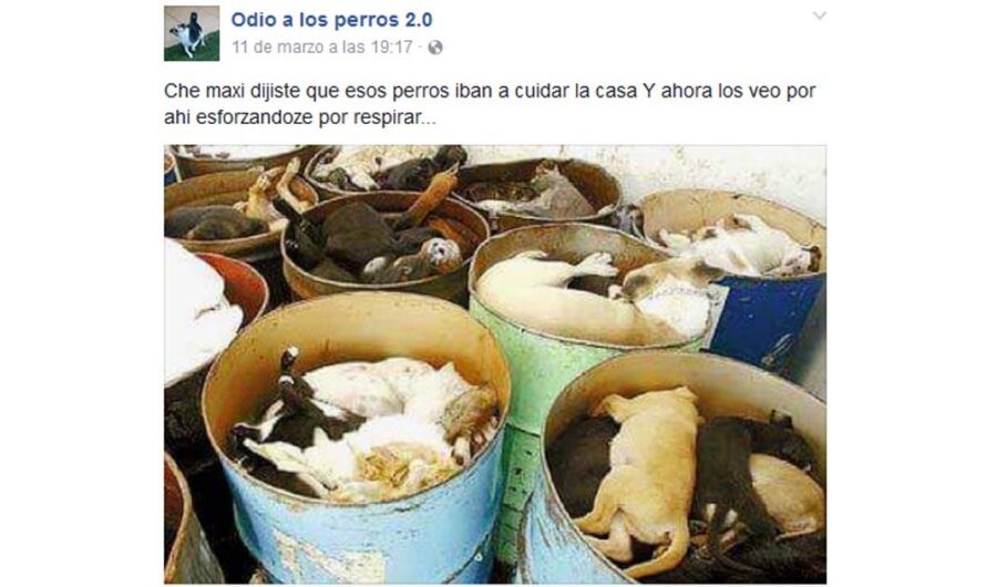 «Argentina Rechaza el Maltrato Animal: Cierre el Grupo de Facebook ‘Odio a los Perros’ y Que los Responsables Sean Llevados ante la Justicia».