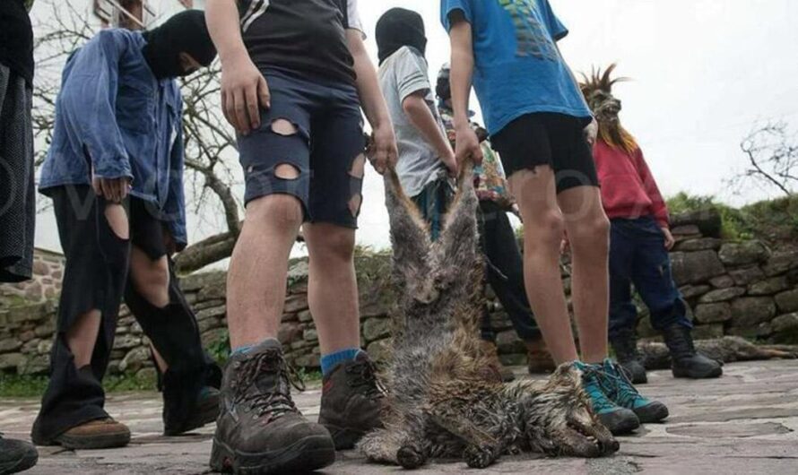 ¡Digamos NO al Zanpantzar de Ituren y Zubieta, una tradición sin animales ultrajados y desmembrados!